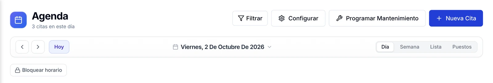 Parte superior de la Agenda con los botones Filtrar, Configurar, Programar Mantenimiento y Nueva Cita