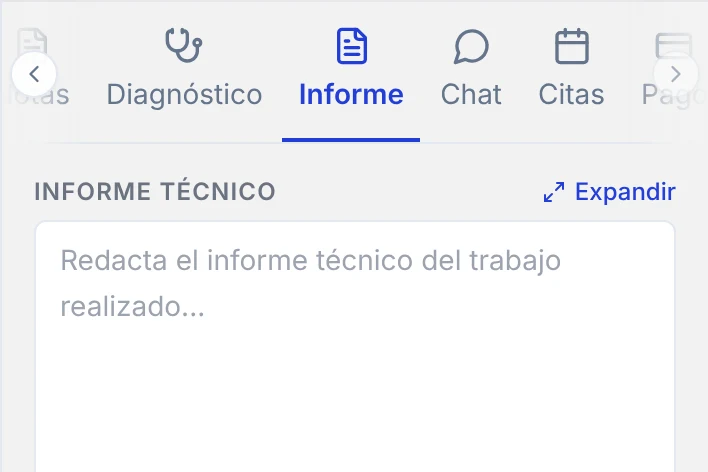 Pestaña Informe con el texto del informe técnico y sus botones para agregar fotos