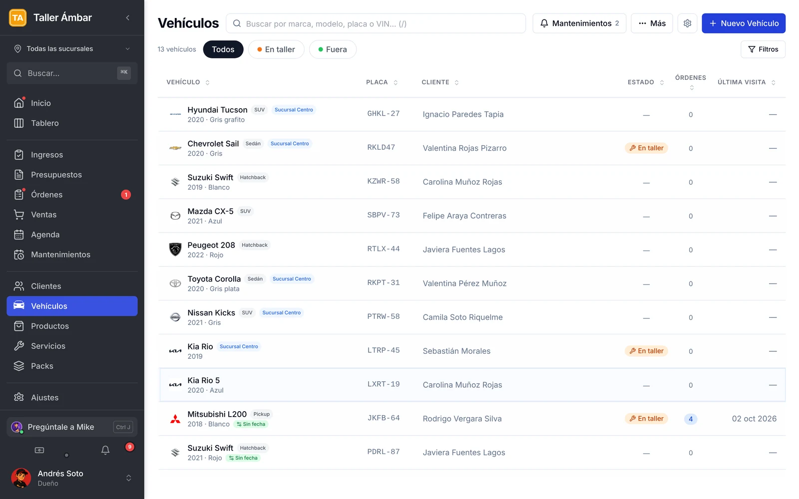 Módulo Vehículos con la lista de vehículos, su placa, cliente y estado